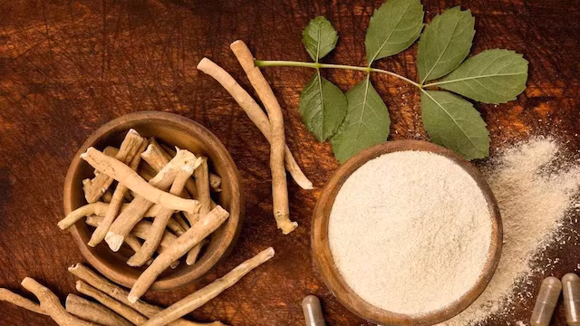 The Top 5 Ayurvedic Herbs for Boosting Immunity Naturally