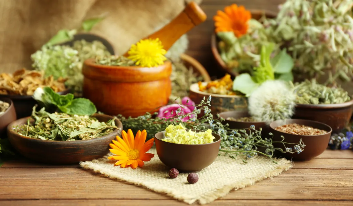 Ayurveda for Modern Life: Balancing Mind, Body, and Spirit